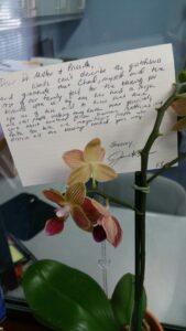 A note and flower on the table